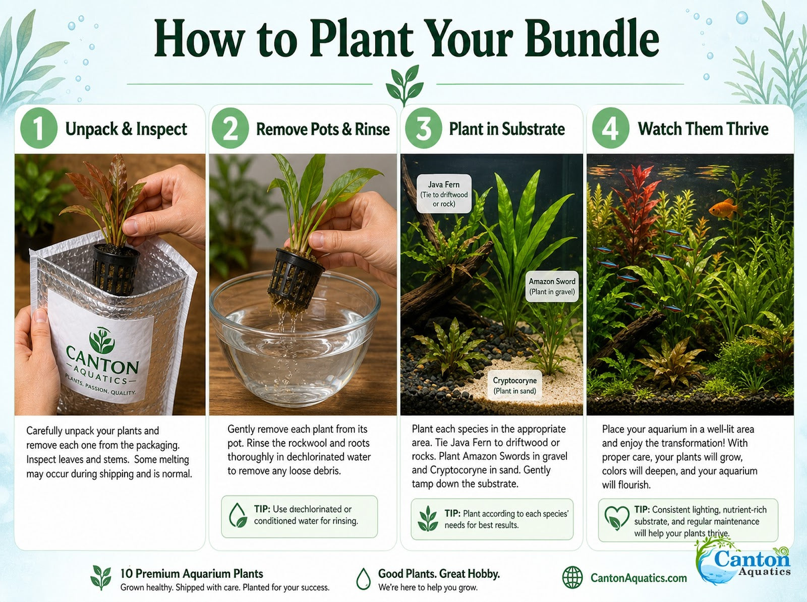 10 Assorted Potted Aquarium Plants Bundle - Image 9 of 10