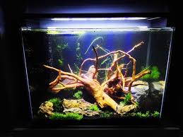 Aquarium Hardscape DriftWood: SpiderWood
