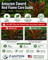Amazon Sword Echinodorus Red Flame - Image 20 of 30