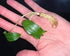 Cryptocoryne Wendtii Brown