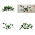 Beginner Centerpiece Bundle – 20–40 Gallon Low-Tech Aquarium | Easy Live Plants, Lush & Hardy