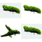 Moss On Wood – Live Aquarium Moss Attached to Natural Driftwood