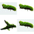 Moss On Wood – Live Aquarium Moss Attached to Natural Driftwood