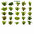 Beginner Live Aquarium Plants Bundle 3 to 75 Assorted Easy Plants for Fish Tanks