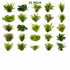 Beginner Live Aquarium Plants Bundle 3 to 75 Assorted Easy Plants for Fish Tanks