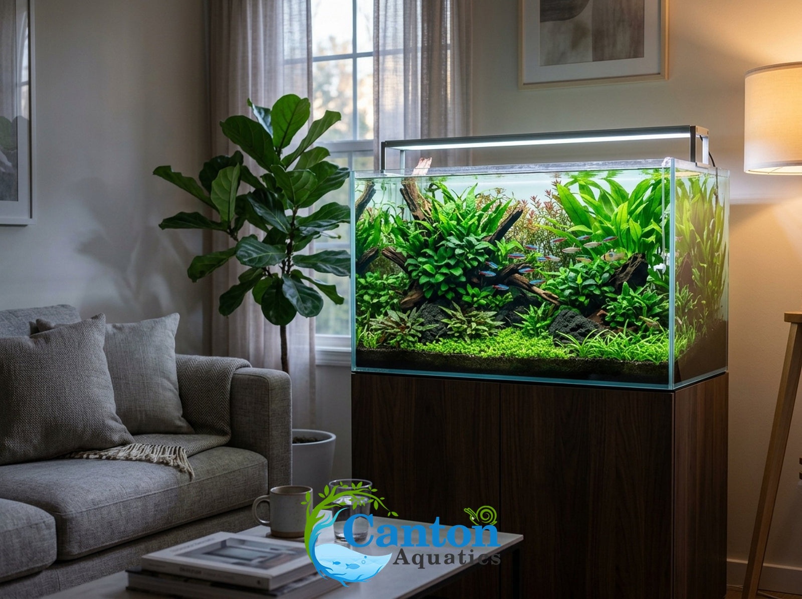 Live Aquarium Plants Essential Bundle