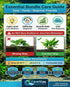 Live Aquarium Plants Essential Bundle