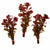 Ludwigia Repens Super Red Mini – Live Freshwater Aquarium Plant