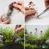 Ludwigia Repens (Dark Red)