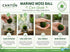 Marimo Moss Ball (Aegagropila Linnaei)