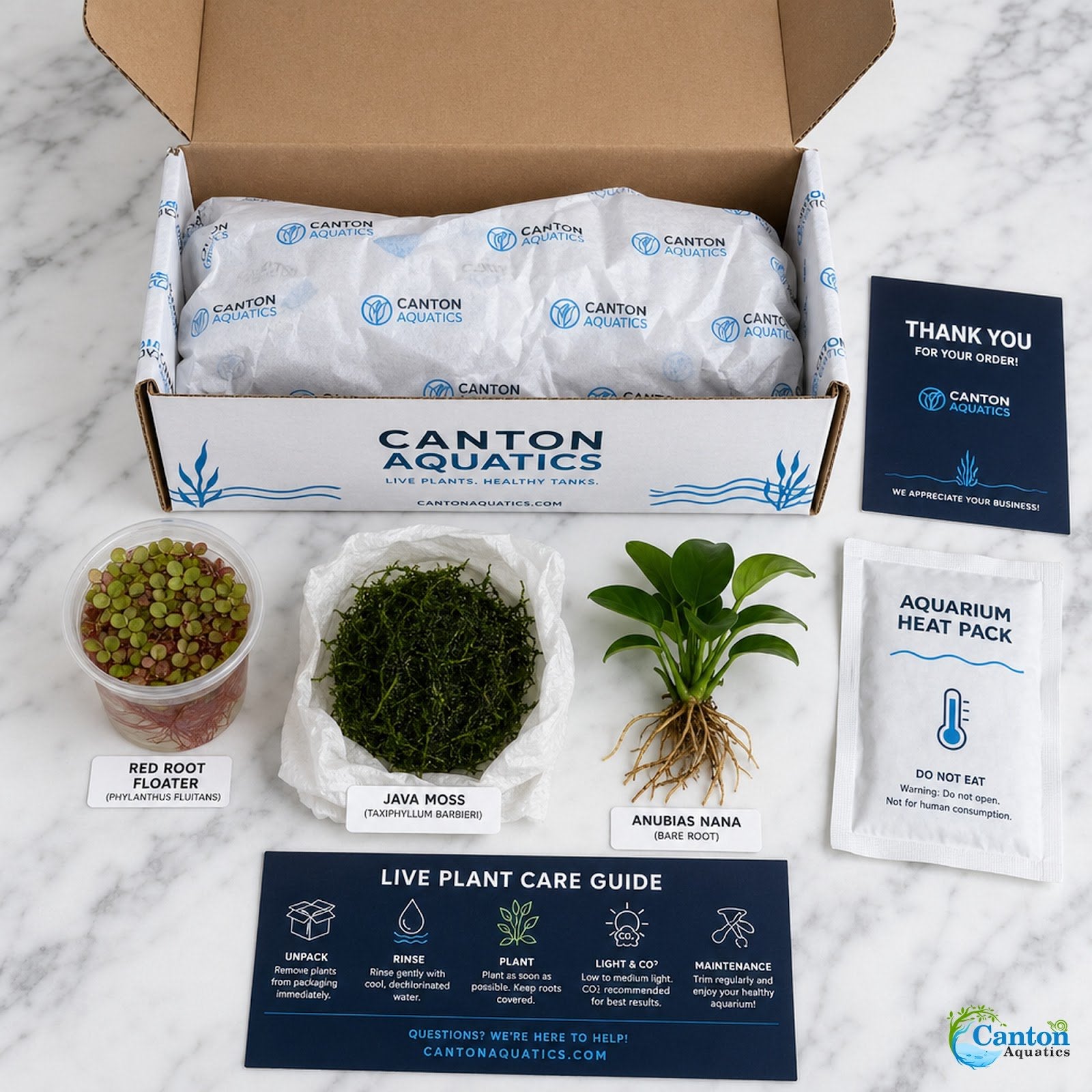 Live Shrimp Tank Plant Bundle | Aquarium Plants for Shrimp Neocaridina Cherry Shrimp