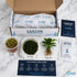 Live Shrimp Tank Plant Bundle | Aquarium Plants for Shrimp Neocaridina Cherry Shrimp