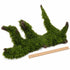 Christmas Moss on Driftwood | Live Aquarium Plant - Pre-Attached Vesicularia Montagnei, Low Light, No CO2, Shrimp Safe