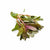 Ammania senegalensis – Live Freshwater Aquarium Plant - Image 1 of 43