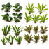 Live Aquarium Plants Essential Bundle