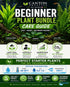 Beginner Live Aquarium Plants Bundle 3 to 75 Assorted Easy Plants for Fish Tanks