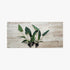 Showpiece Plant Duo – Large Amazon Sword & Anubias | Live Aquarium Plants, Easy, Lush, Freshwater