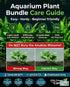 Aquarium Plant Bundle: 1 Anubias, 2 Amazon & 3 Dwarf Sag