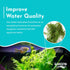 Canton Aquatics Live Aquarium Plants - Water Sprite Aquarium Plant, Ceratopteris Thalictroides - Perfect Live Aquatic Plants for Fish Tanks and Aquariums