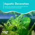 Canton Aquatics Live Aquarium Plants - Water Sprite Aquarium Plant, Ceratopteris Thalictroides - Perfect Live Aquatic Plants for Fish Tanks and Aquariums