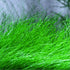 Dwarf Hairgrass Eleocharis