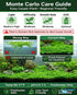 Micranthemum 'Monte Carlo' - Live Freshwater Carpet Aquarium Plant