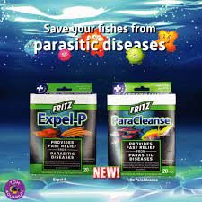 Fritz Expel-P – Internal Parasite Treatment for Freshwater & Saltwater Aquariums
