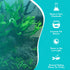 Java Fern Mat (Microsorum Pteropus) on Mat