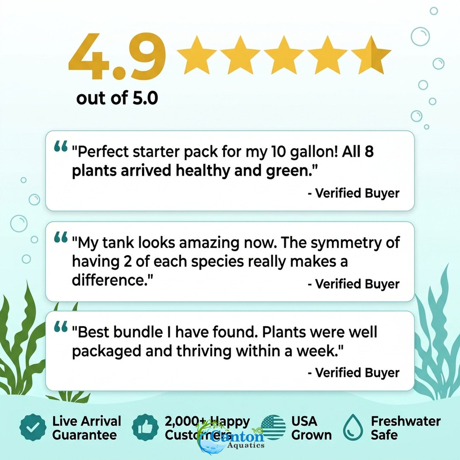 Live Aquarium Plants Essential Bundle