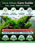 Canton Aquatics Java Moss Taxiphyllum Barbieri Live Freshwater Aquarium Moss - Low Light