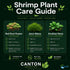 Live Shrimp Tank Plant Bundle | Aquarium Plants for Shrimp Neocaridina Cherry Shrimp