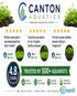 CANTON AQUATICS Staurogyne S Repens Plants - Long Lasting & Easy to Care - Promote High Water Quality and Fast - Growing Live Freshwater Carpet Plant for Aquascaping - 5X Clumps Plants