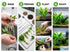 Aquarium Plant Bundle: 1 Anubias, 2 Amazon & 3 Dwarf Sag