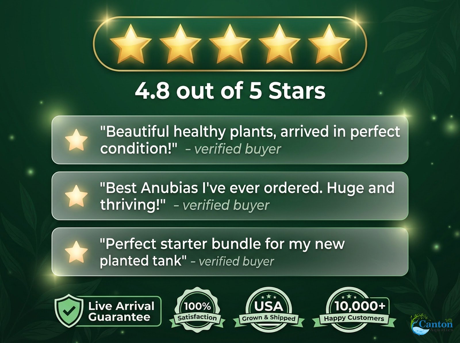 Anubias Starter Bundle (3-Pack) – Medium to Large