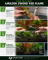 Amazon Sword Echinodorus Red Flame - Image 26 of 30