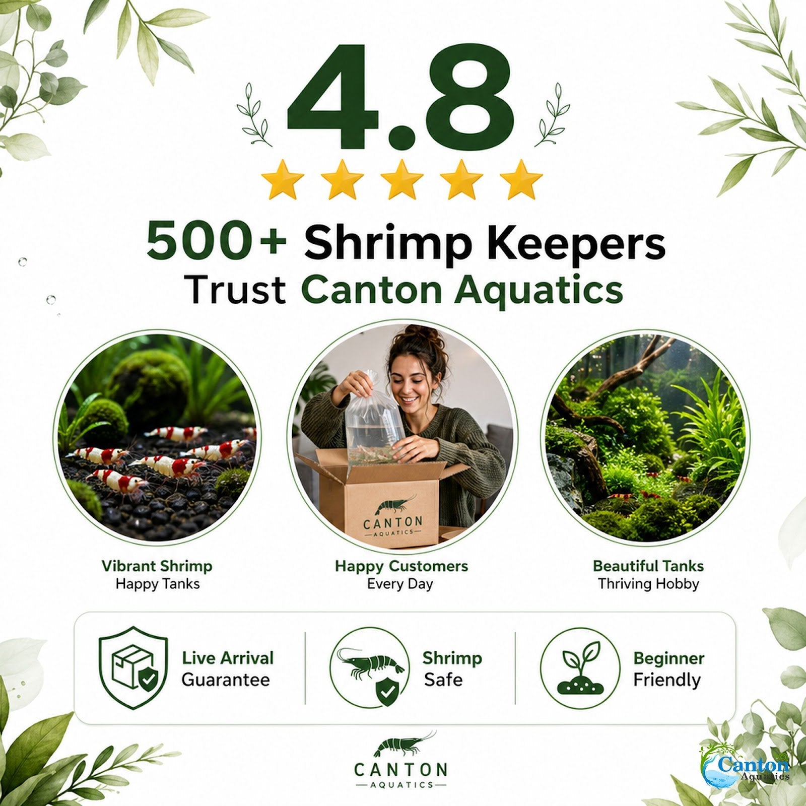 Live Shrimp Tank Plant Bundle | Aquarium Plants for Shrimp Neocaridina Cherry Shrimp