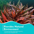Cryptocoryne Wendtii ‘Red’ – Bare Root Live Aquarium Plant