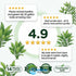 Live Aquarium Plants Essential Bundle