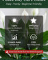 Spathiphyllum (Peace Lily) Rooted Starter Plant 3 Pack