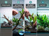 Live Aquarium Plants Essential Bundle