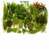 Beginner Live Aquarium Plants Bundle 3 to 75 Assorted Easy Plants for Fish Tanks