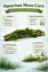 Moss On Wood – Live Aquarium Moss Attached to Natural Driftwood