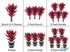Scarlet Temple (Alternanthera Reineckii) – Live Freshwater Aquarium Plant