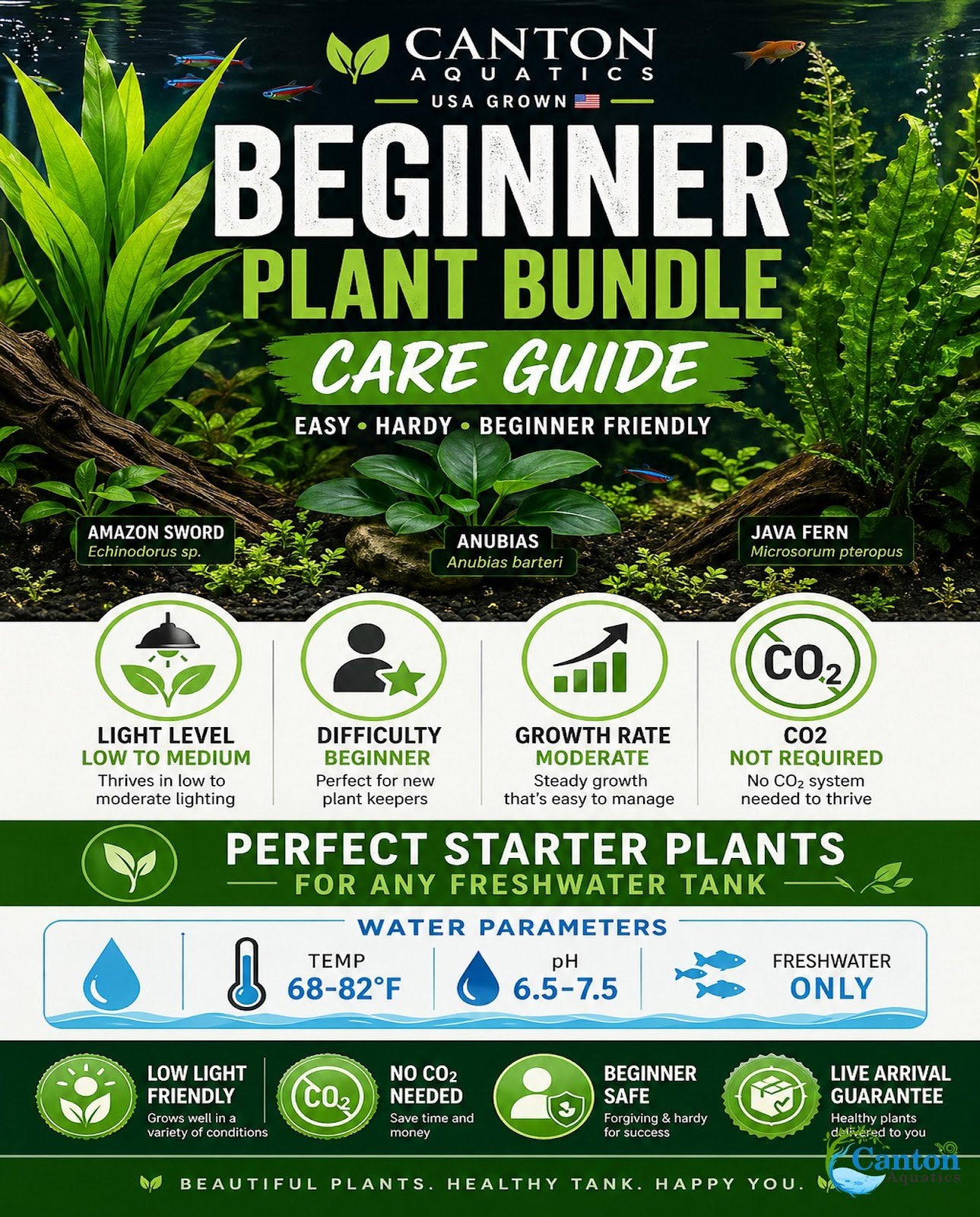 Beginner Live Aquarium Plants Bundle 3 to 75 Assorted Easy Plants for Fish Tanks