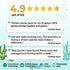 Live Aquarium Plants Essential Bundle