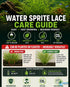 Canton Aquatics Live Aquarium Plants - Water Sprite Aquarium Plant, Ceratopteris Thalictroides - Perfect Live Aquatic Plants for Fish Tanks and Aquariums