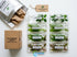 Live Aquarium Plants Essential Bundle