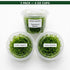 Canton Aquatics Java Moss Taxiphyllum Barbieri Live Freshwater Aquarium Moss - Low Light