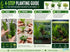 Beginner Live Aquarium Plants Bundle 3 to 75 Assorted Easy Plants for Fish Tanks