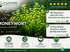Moneywort (Bacopa monnieri) – Live Aquarium & Paludarium Plant
